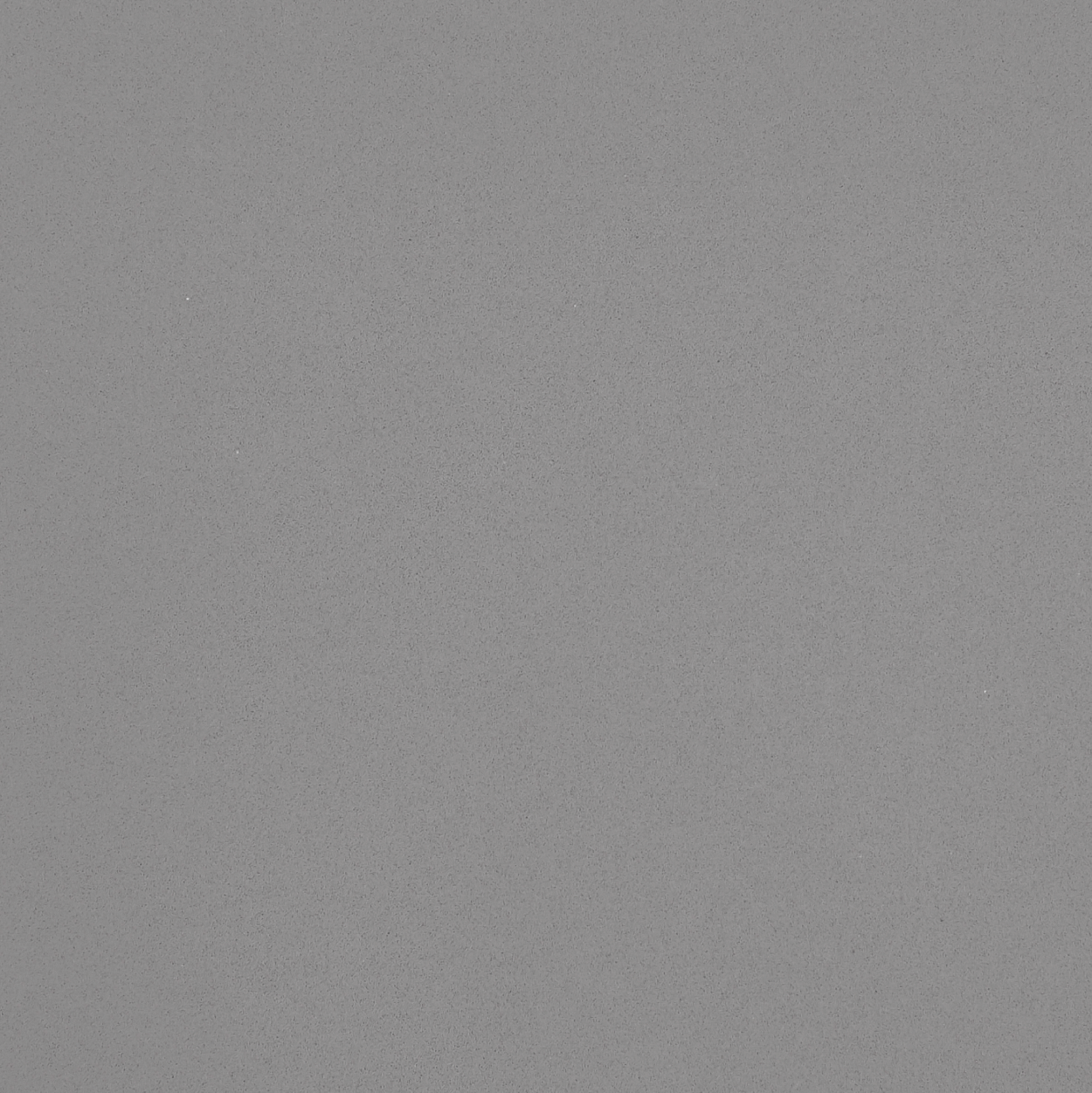 Silver-Grey
